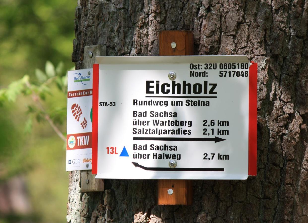 Rothirsch *